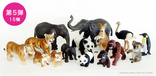 Schleih �V�����C�q�����t�B�M�A��5�e�@������ ZOO